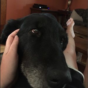 Meet your Posher, Sinead